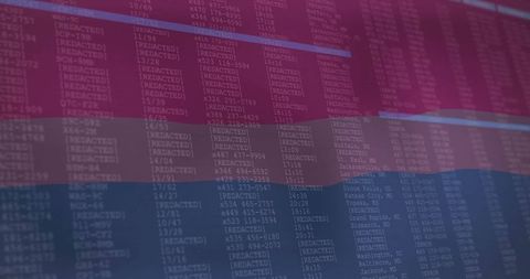 Bisexual flag overlay on redacted digital spreadsheet
