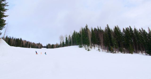 Skiers are descending a snowy slope in a forested mountain area, with copy space - Download Free Stock Photos Pikwizard.com