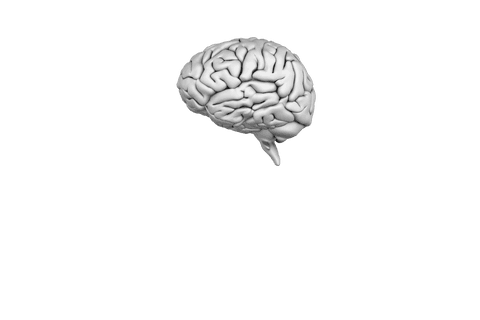digital gray human brain on transparent background - Download Free Stock Videos Pikwizard.com