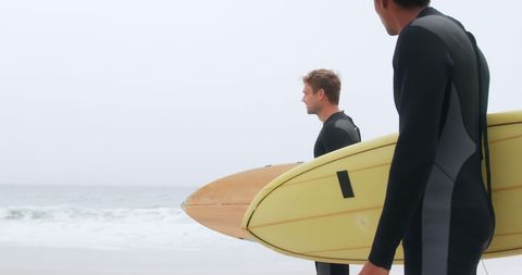 Surfer Friends Preparing for Ocean Waves Adventure - Download Free Stock Images Pikwizard.com