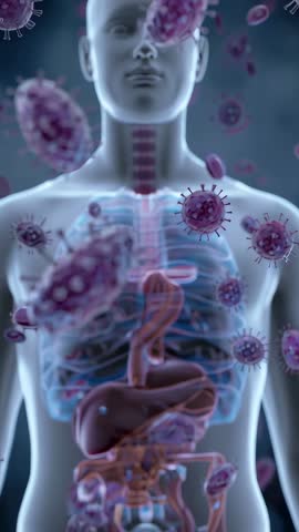 Vertical Medical Animation Showing Viral Particles Invading Human Torso and Lungs