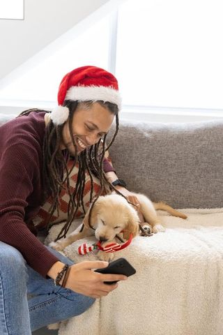 Smiling man in santa hat petting golden retriever puppy nibbling candy cane on cozy room couch