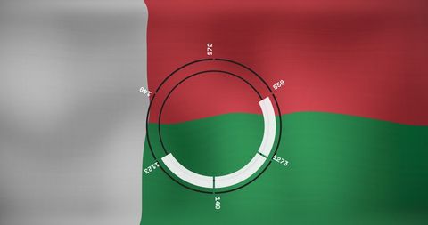 Madagascar Flag with Digital Interface Circle Diagram