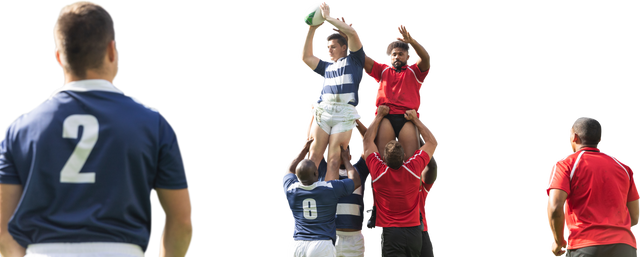 Diverse Rugby Players in Action During Match on Transparent Background - Download Free Stock Videos Pikwizard.com