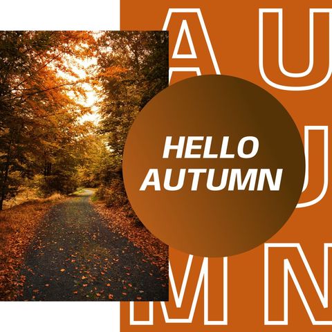Beautiful Autumn Pathway with Falling Leaves - Download Free Stock Templates Pikwizard.com