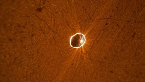 Golden Starburst Emitting Through Tiny Puncture in Rustic Brown Surface Macro Texture Glow