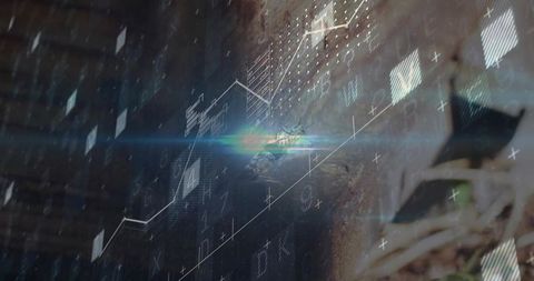 Symbolic growth from decay with futuristic digital overlay