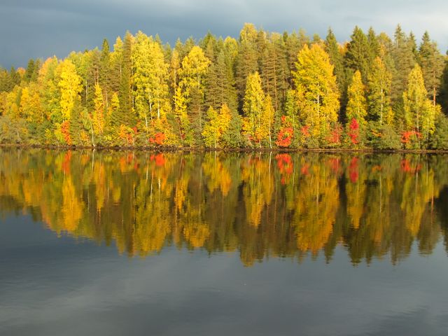 Forest trees showcasing vibrant fall colors reflecting on a calm lake surface under a cloudy sky. Useful for backgrounds, screensavers, nature magazines, travel blogs, and autumn-themed projects.