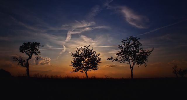 Dark tree silhouettes create contrast against the vibrant sunset sky. Ideal for use in nature-themed websites, environmental campaigns, or as serene and contemplative home decor. Excellent for conveying peace, tranquility, and the beauty of natural landscapes.