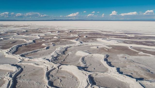 Aerial salt pan with polygonal crust ridges and hollows creating abstract desert texture