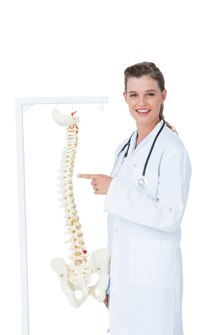 medical professional in lab coat pointing to transparent spine model - Download Free Stock Videos Pikwizard.com