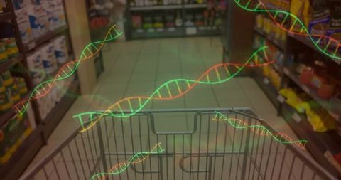 DNA Integration in Grocery Shopping