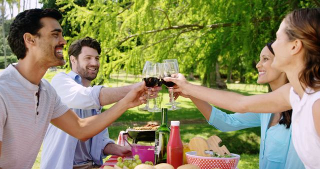 Friends Toasting Wine Glasses During Outdoor Picnic - Download Free Stock Images Pikwizard.com