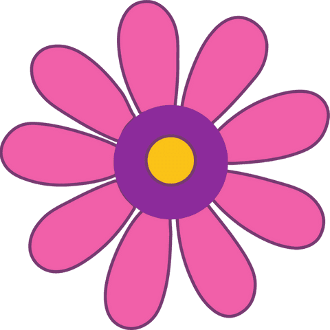 flat vector flower illustration on transparent background - Download Free Stock Videos Pikwizard.com