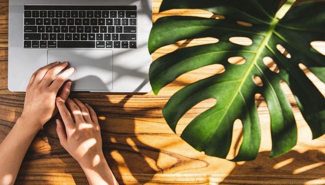 Hands typing on laptop with monstera leaf shadows over wooden desk