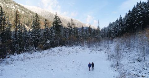 Adventurers Strolling Through Snowy Mountain Forest in Winter - Download Free Stock Images Pikwizard.com