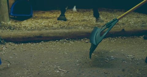 Gloved Hand Raking Shavings in Horse Stall for Maintenance