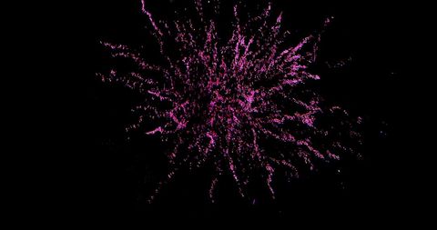 Violet and Red Fireworks Bursting in the Night Sky
