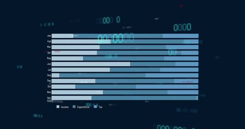Financial data visualization with horizontal bar charts