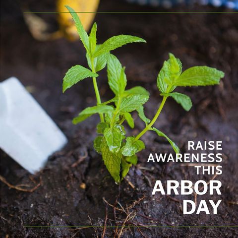 promoting arbor day with young plant in garden - Download Free Stock Templates Pikwizard.com