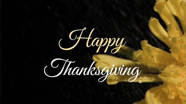 Text reading 'Happy Thanksgiving' set over an artistic animation of rain falling on a yellow flower. The elegant blend of festive typography and nature offers a cheerful vibe, ideal for Thanksgiving greeting cards, social media posts, or invitations during the holiday season.