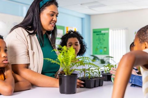 Elementary teacher leading classroom planting activity with seedlings and children