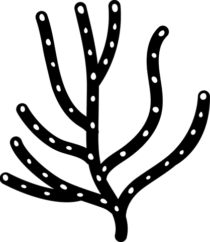 Abstract black branch with white dots on transparent background