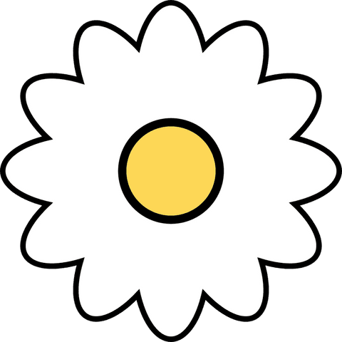 Minimalist daisy flower with transparent background