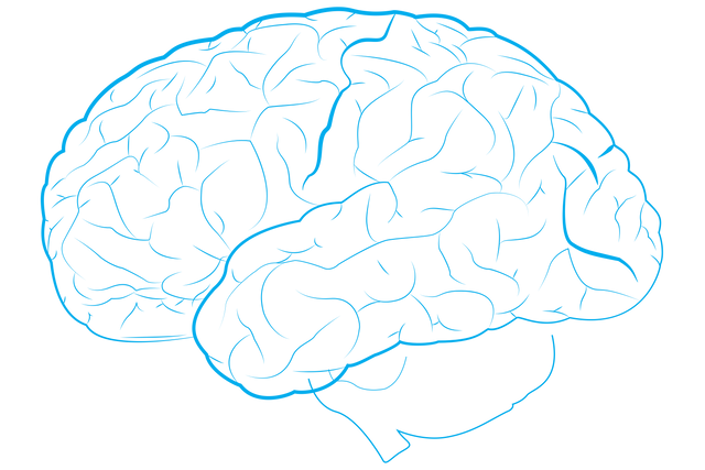 Transparent Vector Illustration of Blue Brain Outline Isolated - Download Free Stock Videos Pikwizard.com