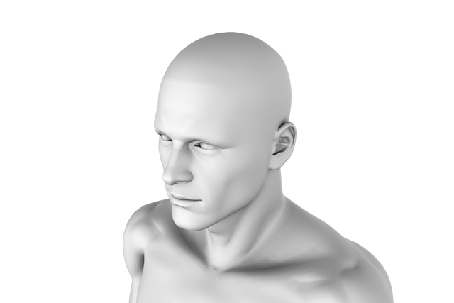 3D Model Transparent Rendering Man Isolated PNG, 3D Modeling Concept - Download Free Stock Videos Pikwizard.com