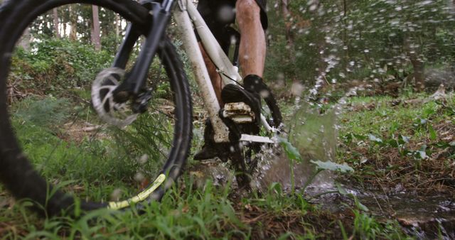 Mountain Biker Riding Through Muddy Terrain in Forest - Download Free Stock Images Pikwizard.com