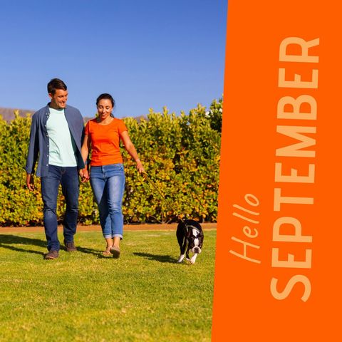 couple enjoying autumn walk with dog in garden - Download Free Stock Templates Pikwizard.com