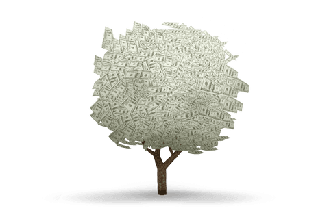 transparent currency tree with lush dollar bill foliage - Download Free Stock Videos Pikwizard.com