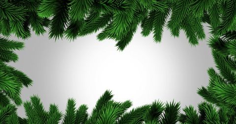 Green christmas tree branches with space on grey background