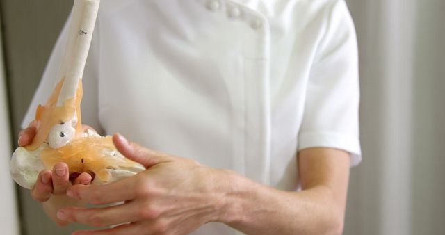 Female physiotherapist holding a skeleton feet model in clinic 4k