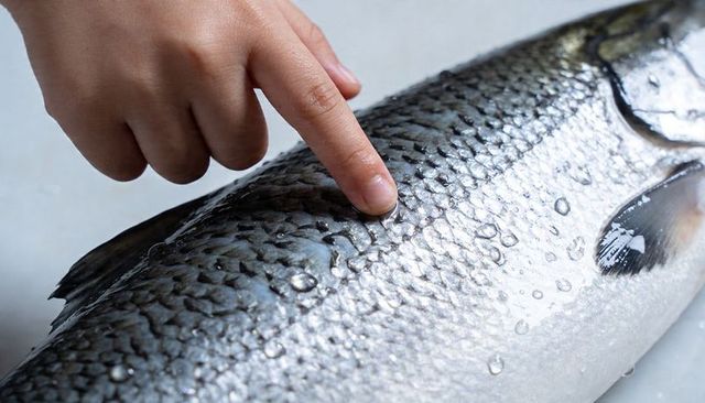 Hand touching silvery salmon scales with water droplets on white prep board close-up macro