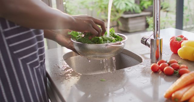 Person Washing Lettuce by Kitchen Sink with Fresh Vegetables on Countertop - Download Free Stock Photos Pikwizard.com