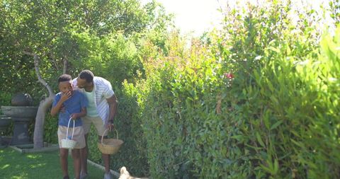 African american father and son searching easter eggs in sunlit backyard garden with dog