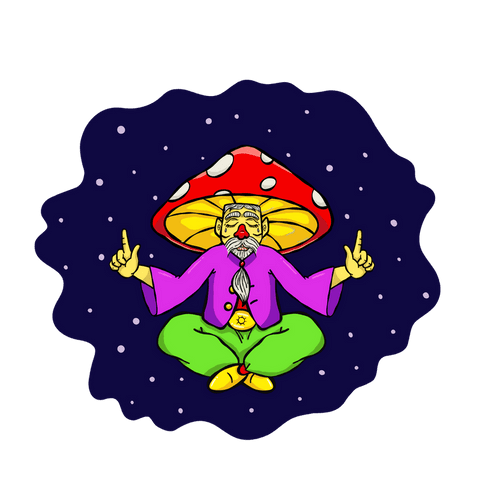 bearded guru floating in mushroom hat surreal transparent background - Download Free Stock Videos Pikwizard.com