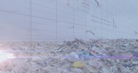 Seagulls Flying Over Landfill with Information Displays
