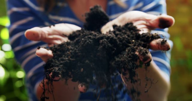 Close-up of Hands Holding Rich Soil in Garden - Download Free Stock Images Pikwizard.com