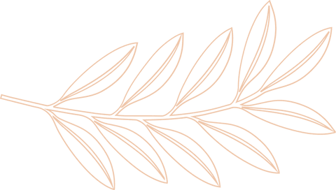 Transparent leafy botanical branch in minimalist line art design