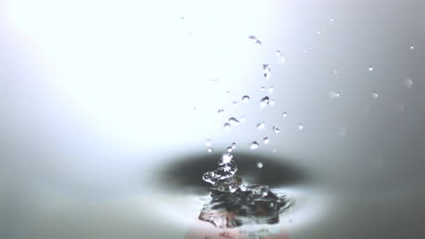 Tomato Splashes Water in Slow Motion Impact
