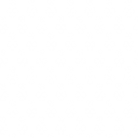 White Clover Pattern on Transparent Background Illustration - Download Free Stock Videos Pikwizard.com