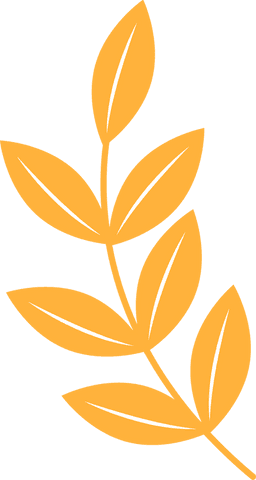 Stylized plant branch illustration with transparent background
