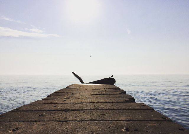 Pier extending into calm sea during peaceful morning. Bird standing on pier creates a tranquil scene, perfect for themes of solitude, nature, and peaceful retreats. Ideal for travel blogs, motivational posters, relaxation visuals, and meditation backgrounds.