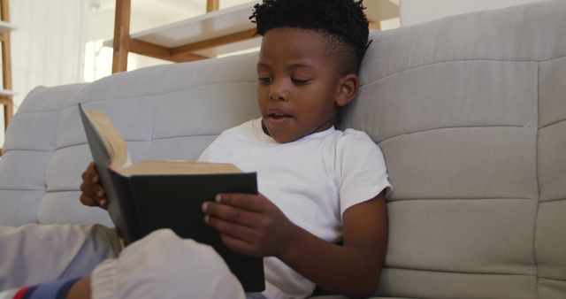 Young Boy Reading Book on Couch in Living Room - Download Free Stock Images Pikwizard.com