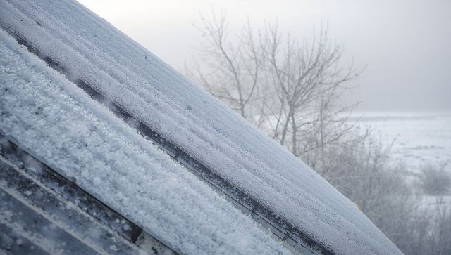 Snow-covered corrugated metal roof slanting across frosty rural field with bare trees
