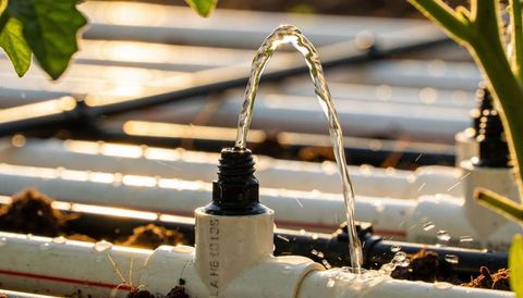 Precision drip irrigation emitter spraying arching stream over potting mix nursery bench