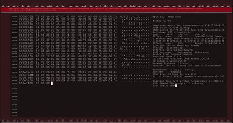 Digital Data Processing on Computer Screen with Nmap Analysis - Download Free Stock Images Pikwizard.com
